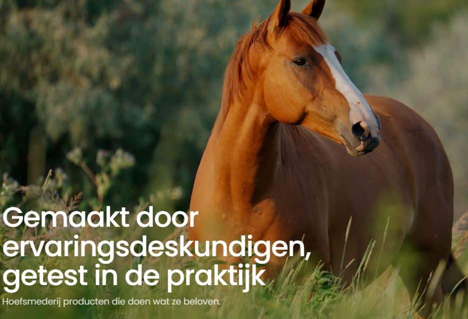HoofPower is Live: veilige siliconen voor hoefsmeden, ontwikkeld vanuit de praktijk.